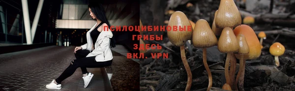винт Анива