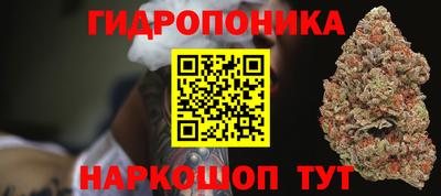 гашик Бузулук