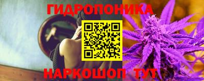 ешки Будённовск