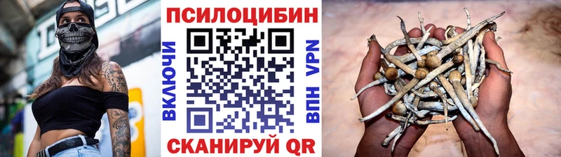 Галлюциногенные грибы Psilocybe  Менделеевск 