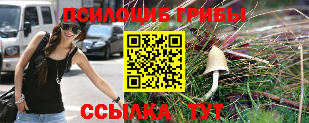Псилоцибиновые грибы мицелий Менделеевск