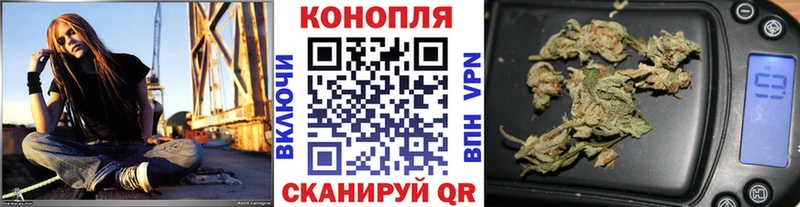 закладки  Менделеевск  Бошки марихуана семена 
